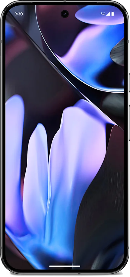 Google Pixel 9 Pro XL Obsidian